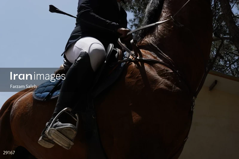 Armos Cup international horse jumping competition