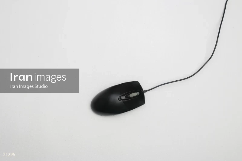 Mouse