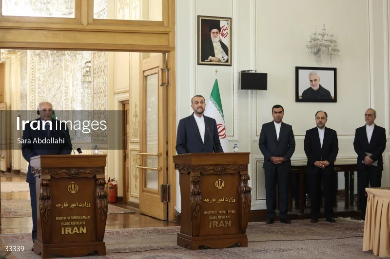 Meeting of foreign ministers of Iran and Algeria