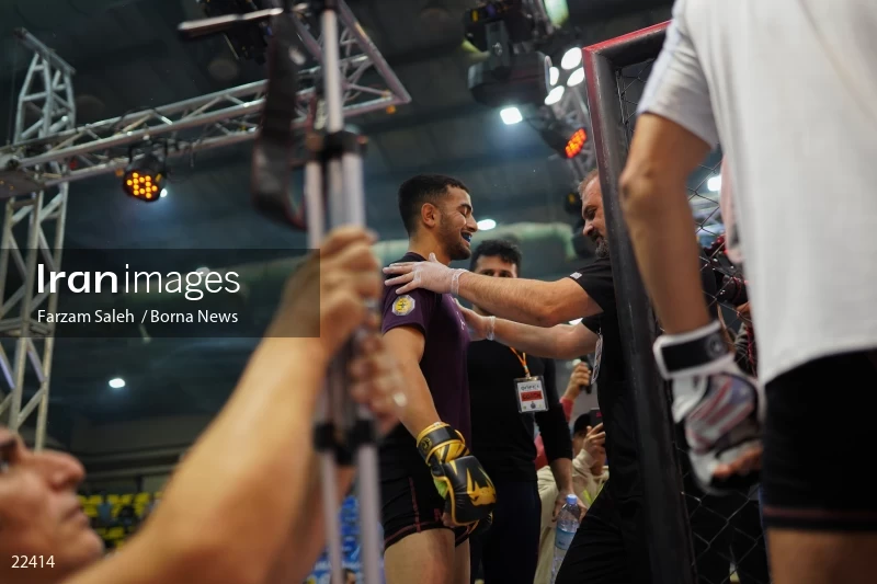 Mixed martial arts (MMA) competitions in Iran