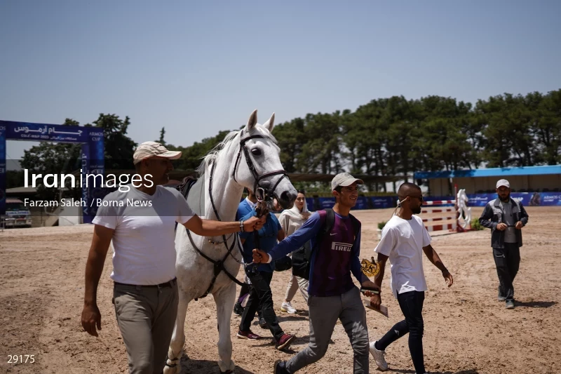 Armos Cup international horse jumping competition