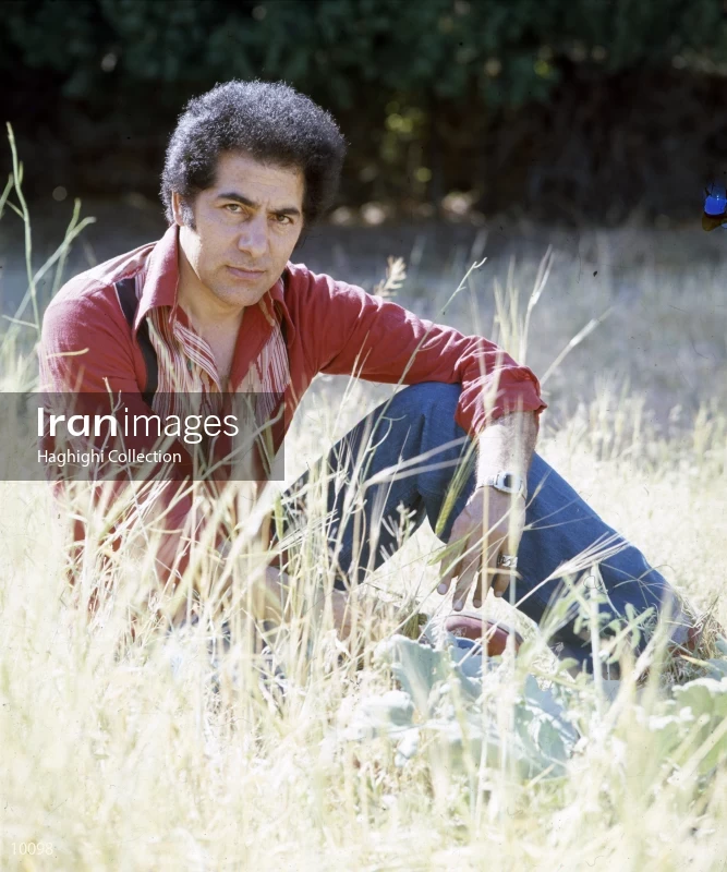 Mohammad Zarindast