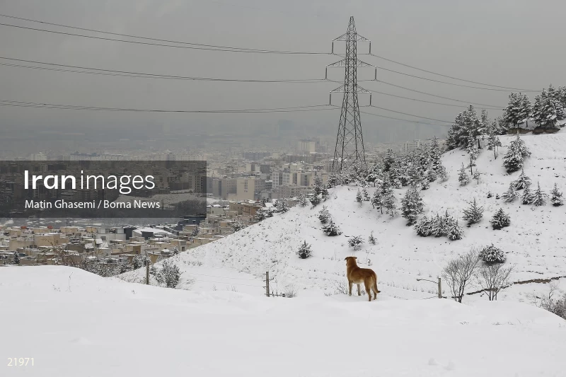 Tehran in a snowy day
