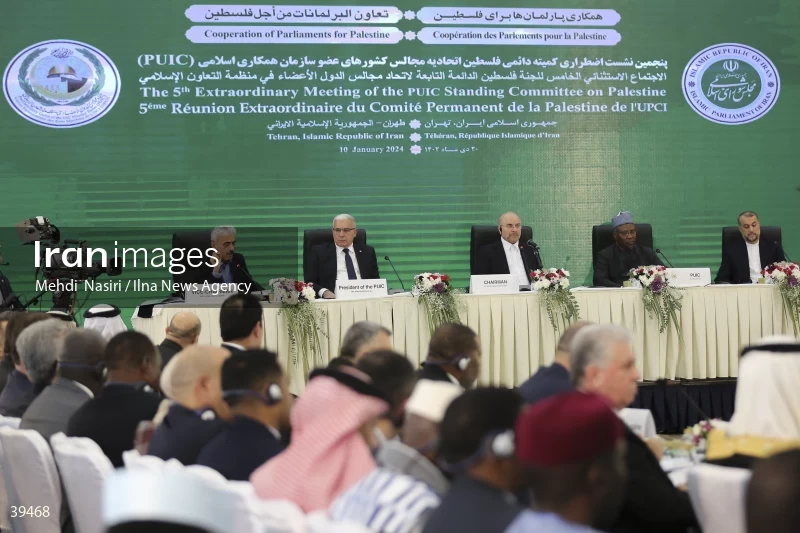 The fifth emergency session of the Permanent Committee on Palestine