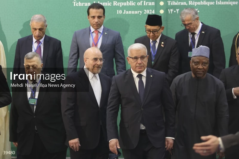 The fifth emergency session of the Permanent Committee on Palestine