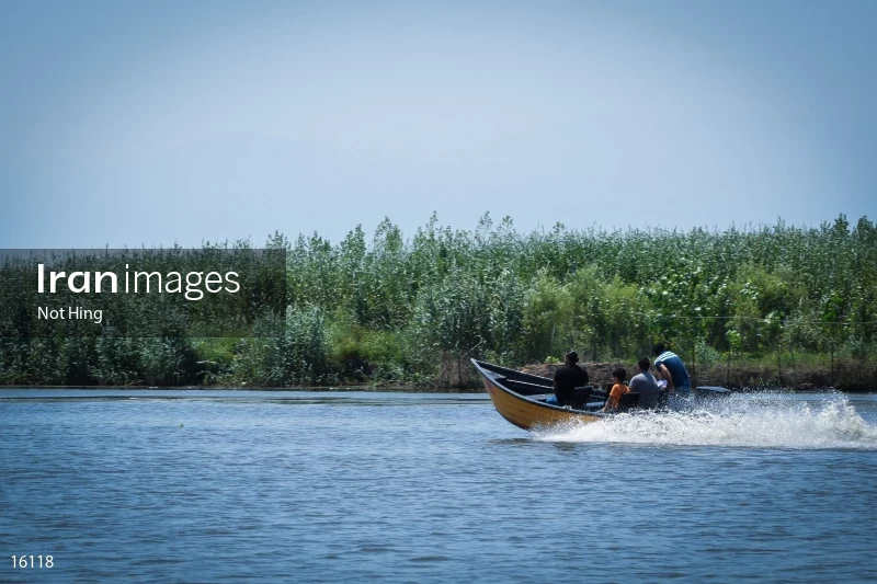Anzali Lagoon
