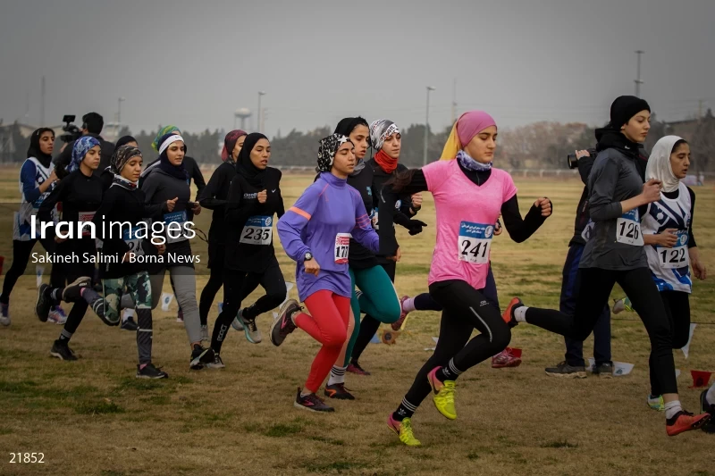 Cross country running competitions