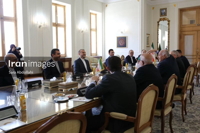 Meeting of foreign ministers of Iran and Algeria