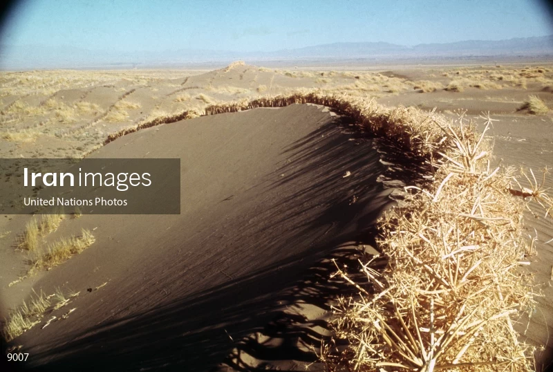 Farming for Development: Erosion Control Project in Iran