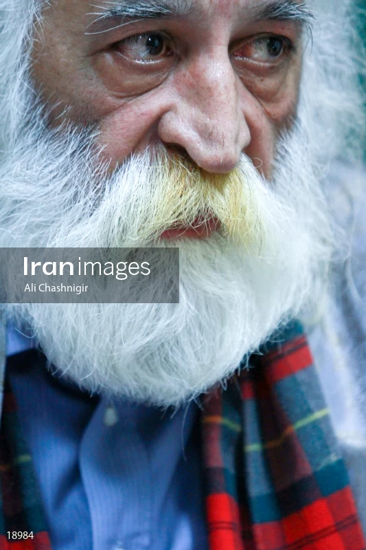 Mohammad Reza Lotfi