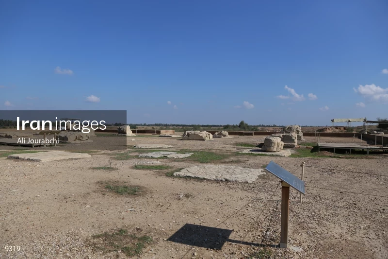 Ruins of the Apadana of Susa