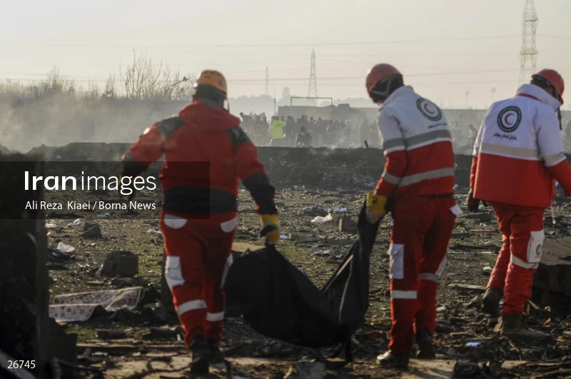 The crash of the Ukrainian passenger plane