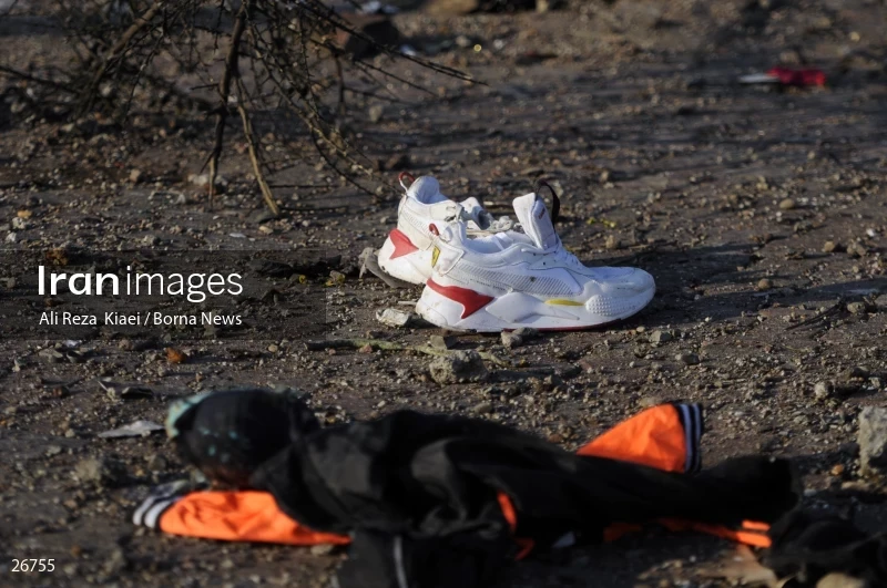 The crash of the Ukrainian passenger plane