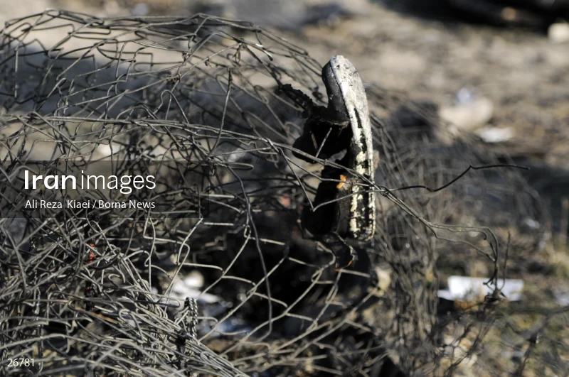 The crash of the Ukrainian passenger plane