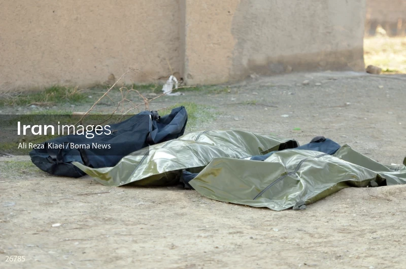 The crash of the Ukrainian passenger plane