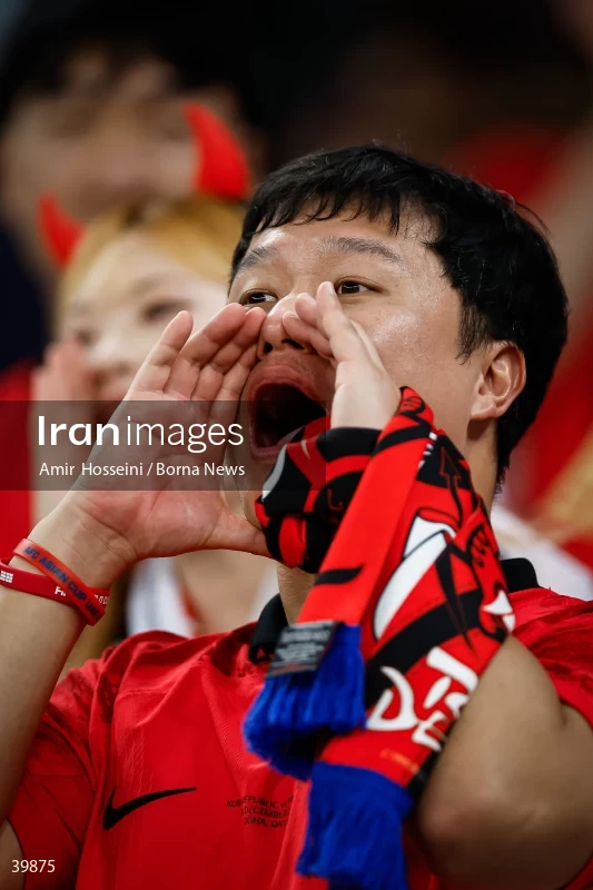 Saudi Arabia Vs. South Korea - AFC Asian Cup 2023