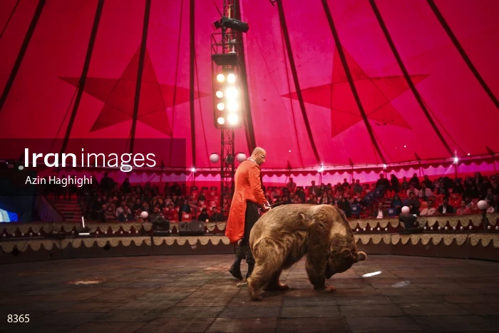 Circus Khalil Eagle