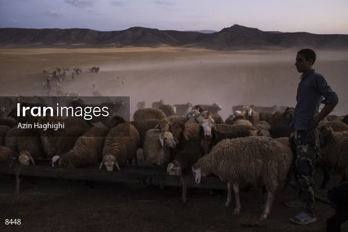 Drought in North Khorasan