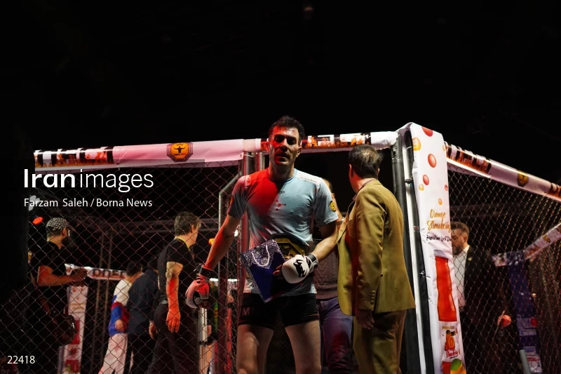 Mixed martial arts (MMA) competitions in Iran