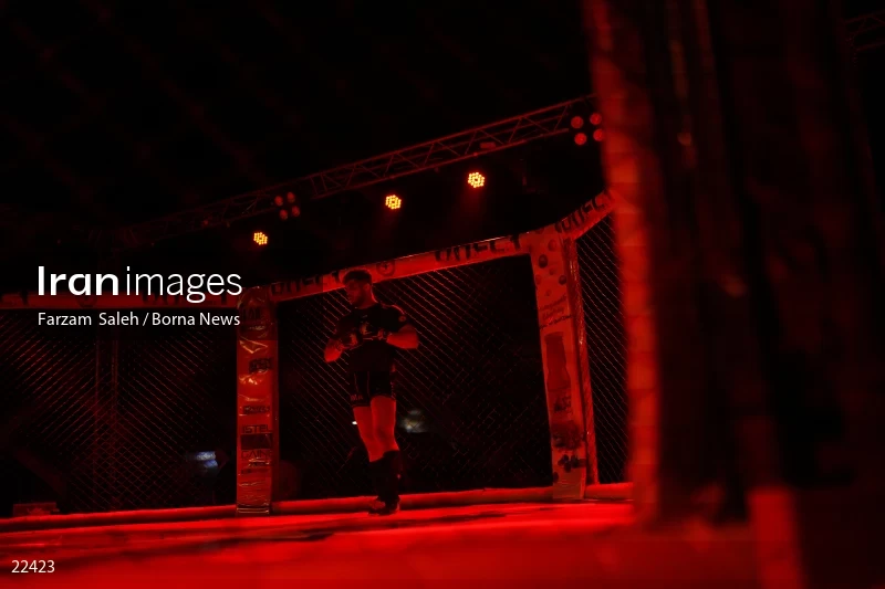 Mixed martial arts (MMA) competitions in Iran