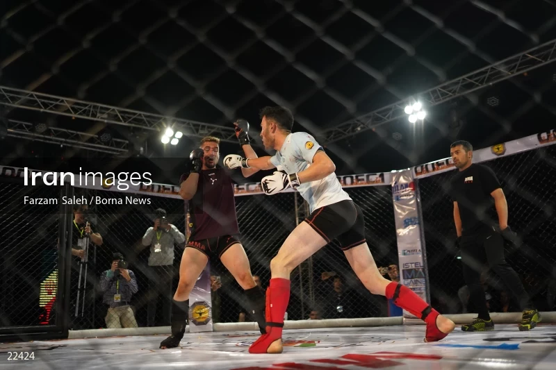 Mixed martial arts (MMA) competitions in Iran