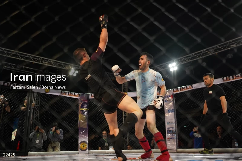 Mixed martial arts (MMA) competitions in Iran