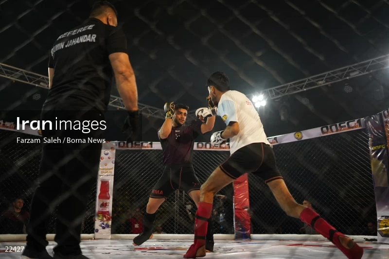 Mixed martial arts (MMA) competitions in Iran