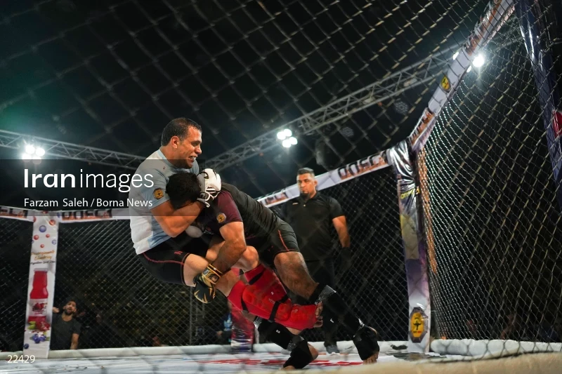Mixed martial arts (MMA) competitions in Iran