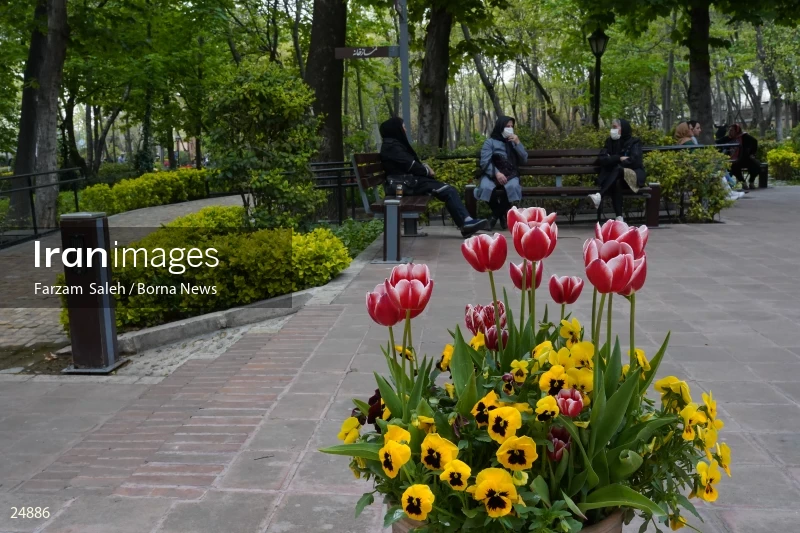 Bagh-e Irani (Iranian Garden) Park