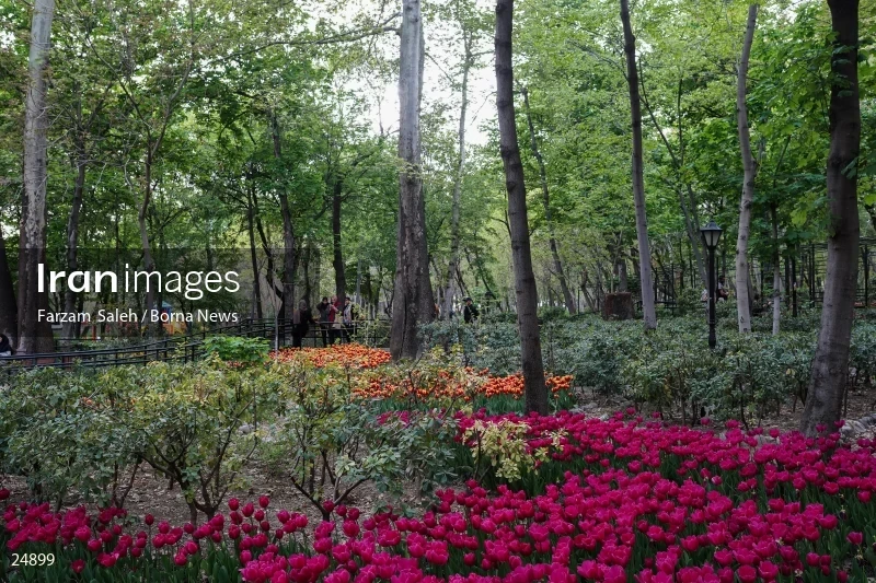Bagh-e Irani (Iranian Garden) Park