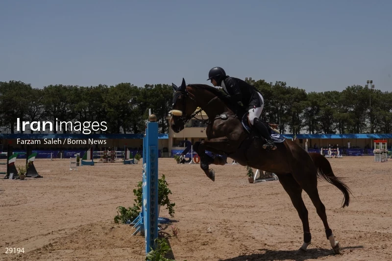 Armos Cup international horse jumping competition