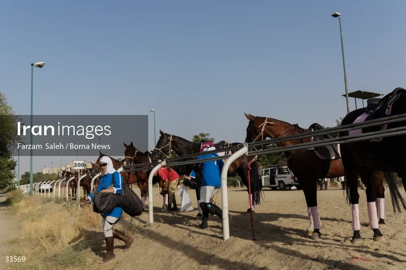 The 7th week of the National Women's Polo League (Laleh Cup)