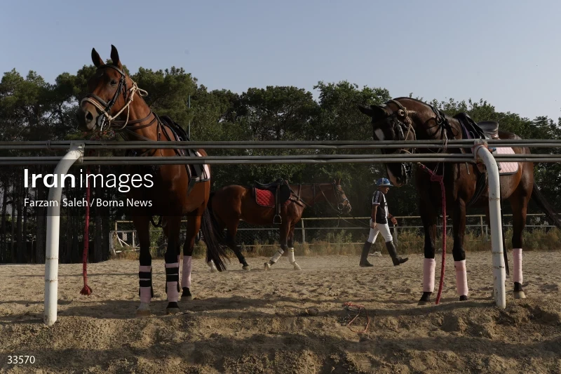 The 7th week of the National Women's Polo League (Laleh Cup)