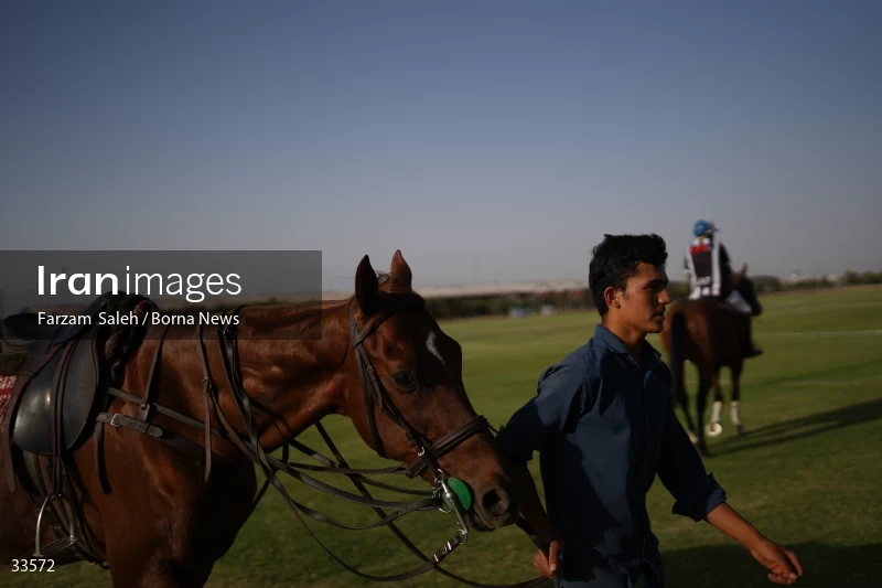 The 7th week of the National Women's Polo League (Laleh Cup)