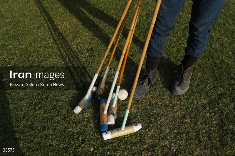 The 7th week of the National Women's Polo League (Laleh Cup)
