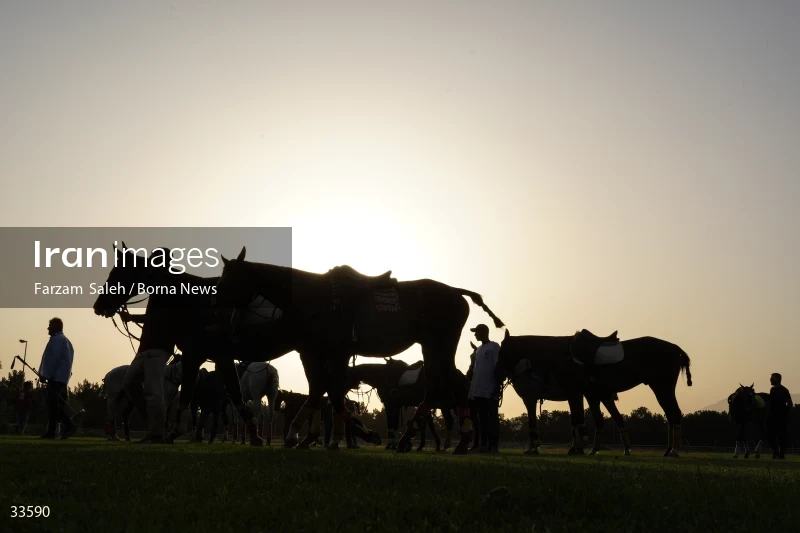 The 7th week of the National Women's Polo League (Laleh Cup)