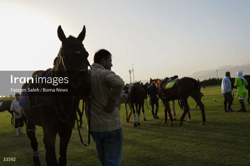 The 7th week of the National Women's Polo League (Laleh Cup)