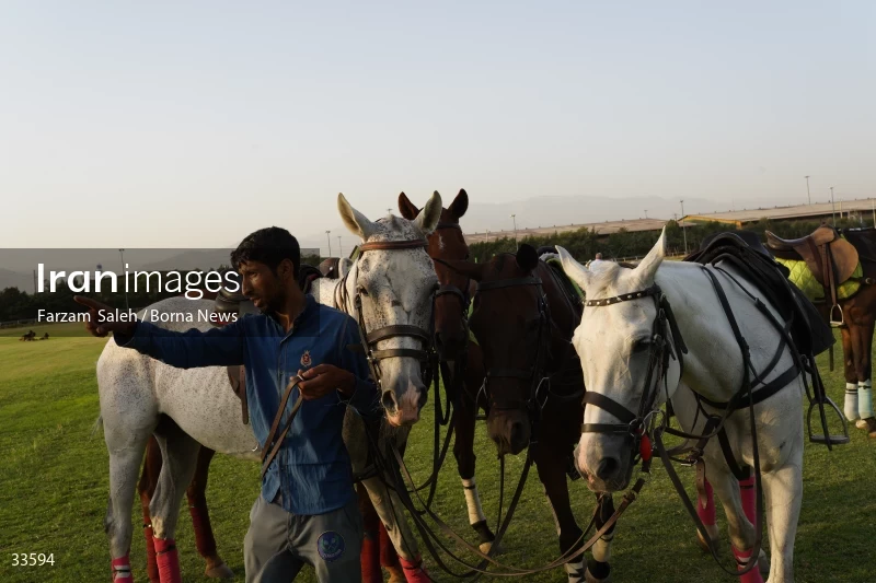 The 7th week of the National Women's Polo League (Laleh Cup)
