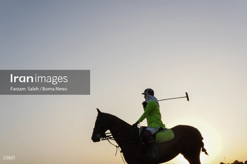 The 7th week of the National Women's Polo League (Laleh Cup)