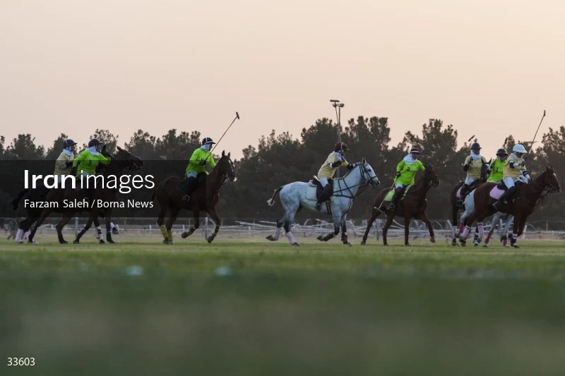 The 7th week of the National Women's Polo League (Laleh Cup)