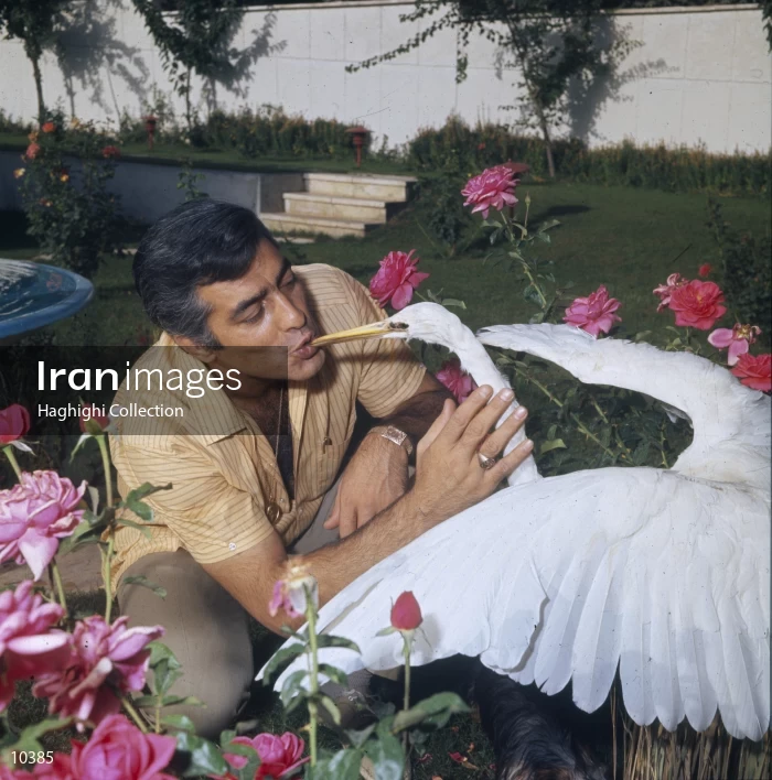 Mohammad Ali Fardin