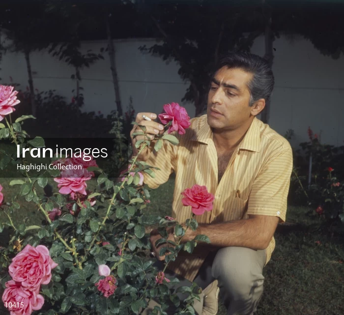 Mohammad Ali Fardin