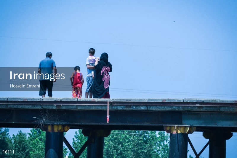 Anzali Lagoon