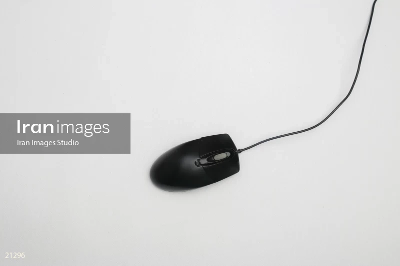 Mouse