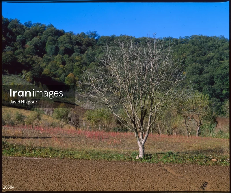 Khan Bebin Village