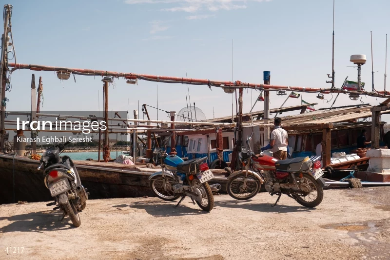 Bushehr