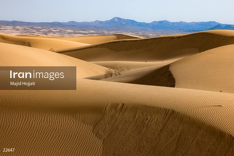 Maranjab desert