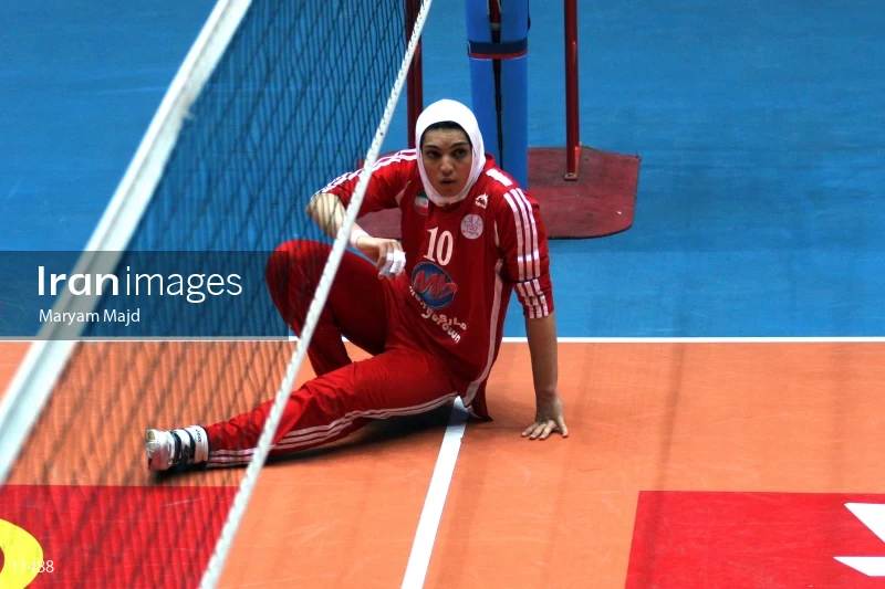 Maedeh Borhani