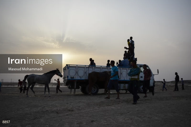 7th Annual Nomads Horse Riding Race