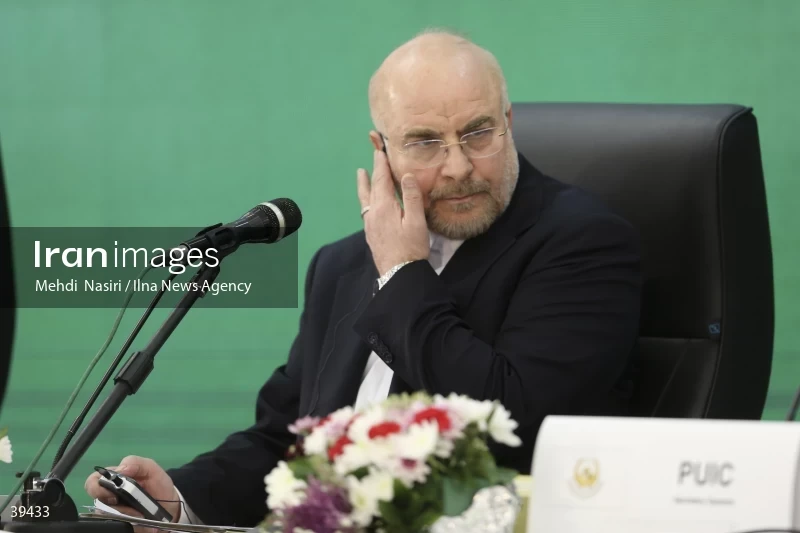 The fifth emergency session of the Permanent Committee on Palestine